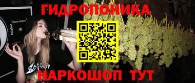 эйфоретик Краснодар
