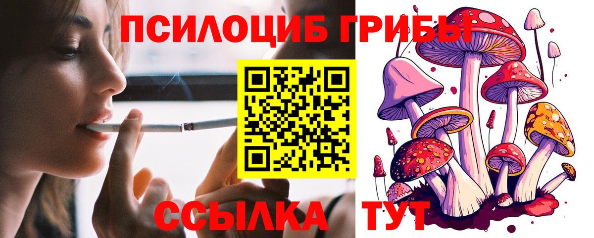 Псилоцибиновые грибы Magic Shrooms Горячий Ключ